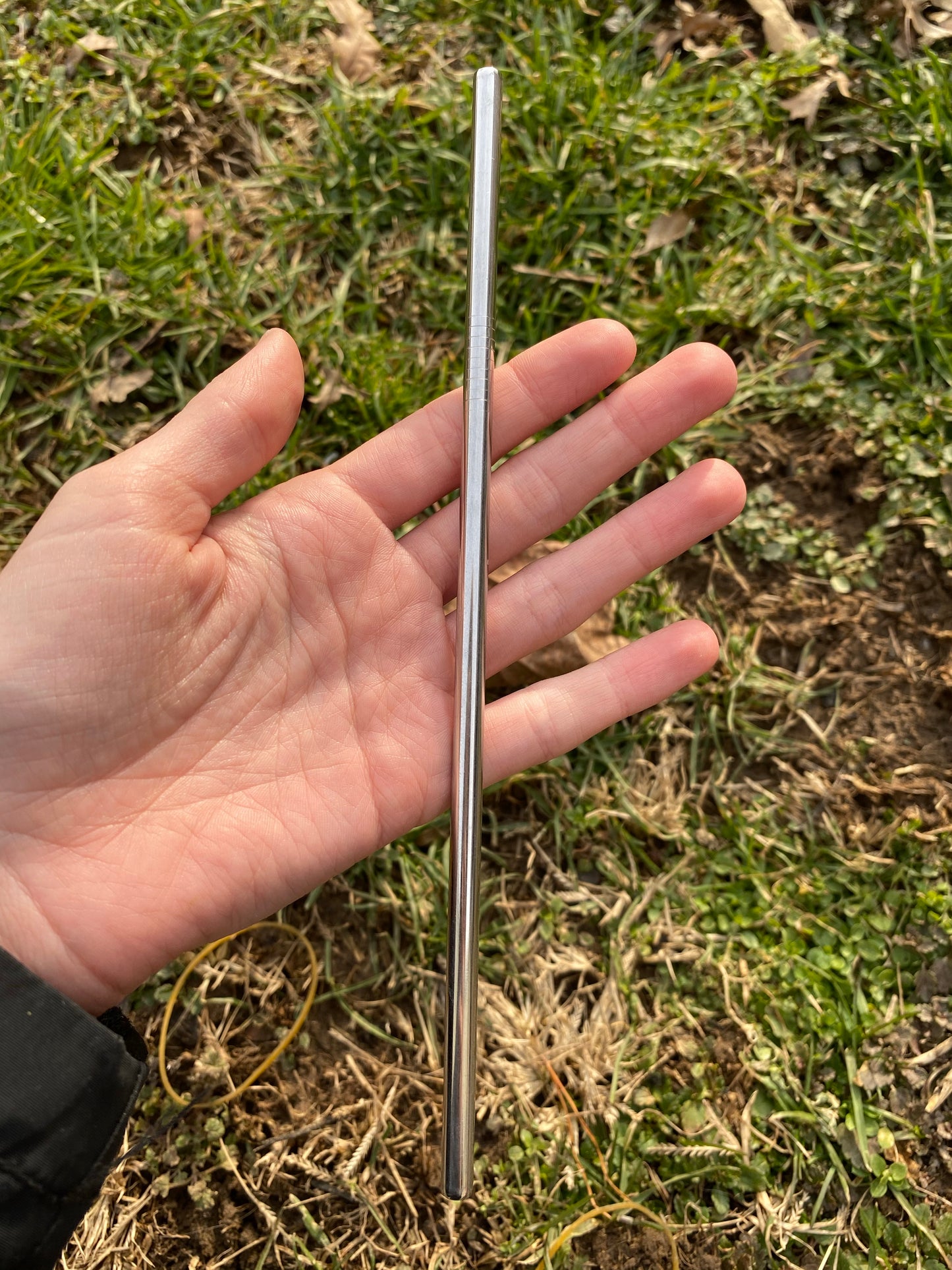 Metal Straw