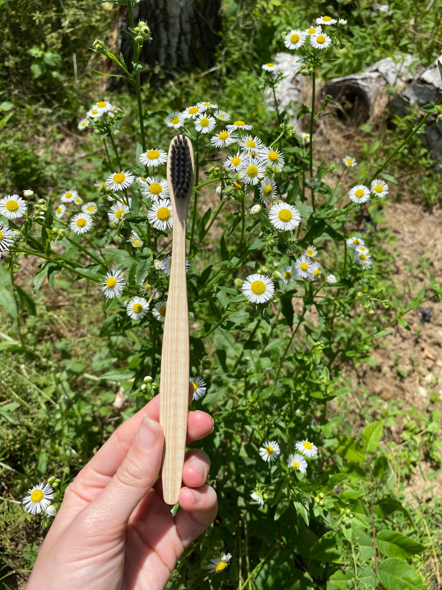 Bamboo Toothbrush